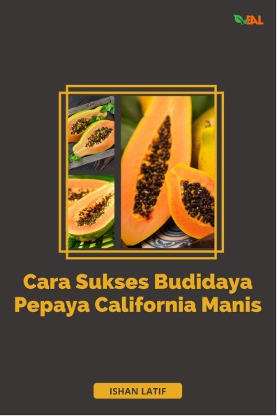 Cara Sukses Budidaya Pepaya California Manis